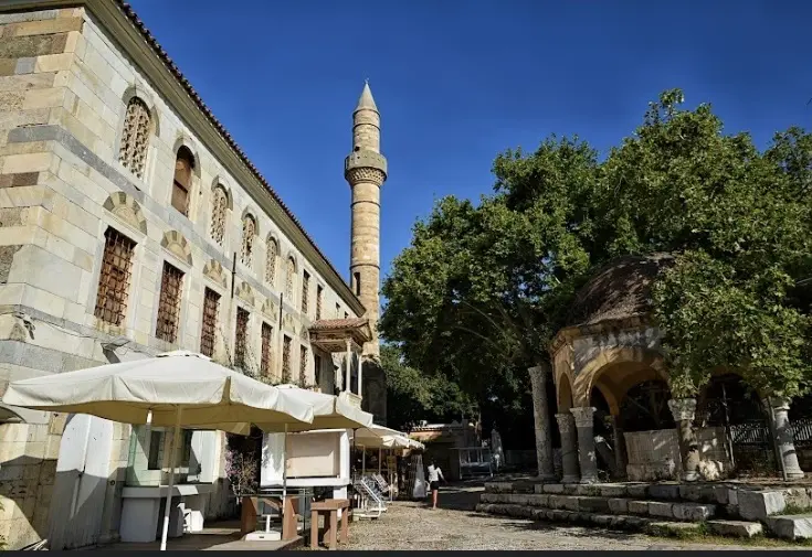 Hippocrates Plane Tree