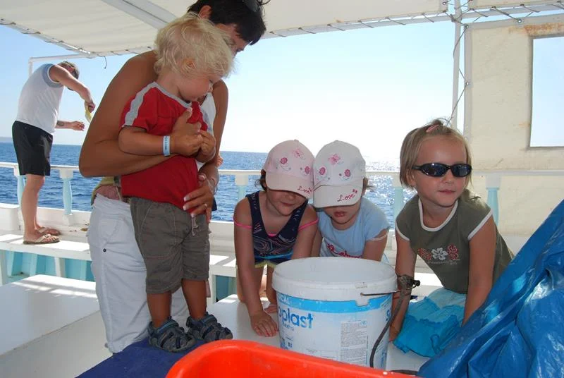 Gallery image for Fishing BBQ - Boat Trip